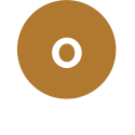 Organization